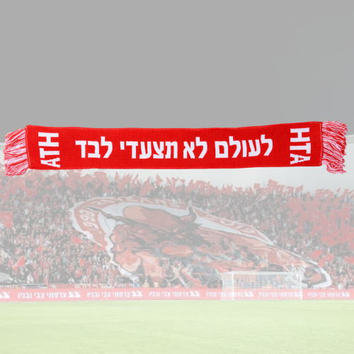 צעיף לעולם לא תצעדי לבד